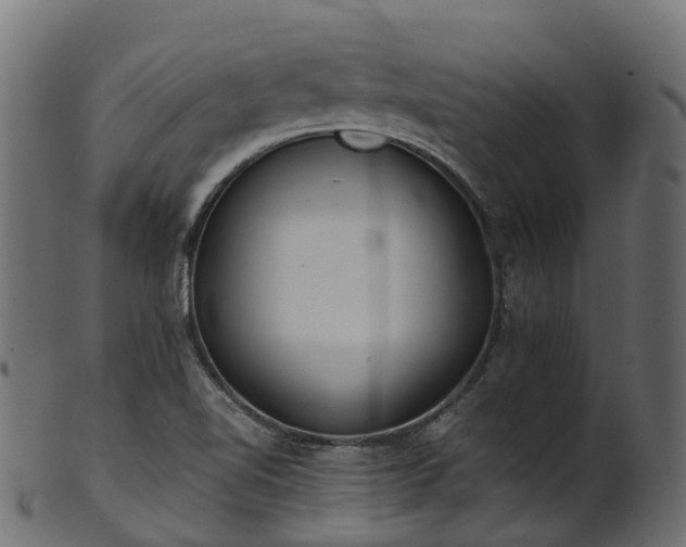 X0000101111510200807031727