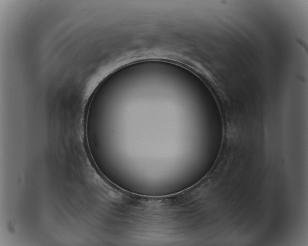 X0000101111512200807031727