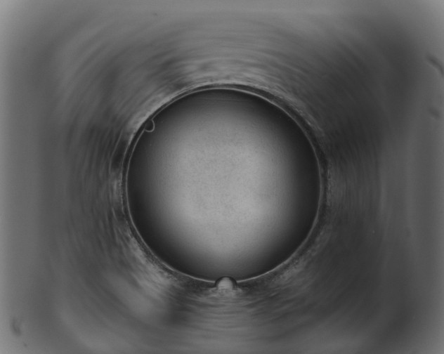 X0000101111513200807031727