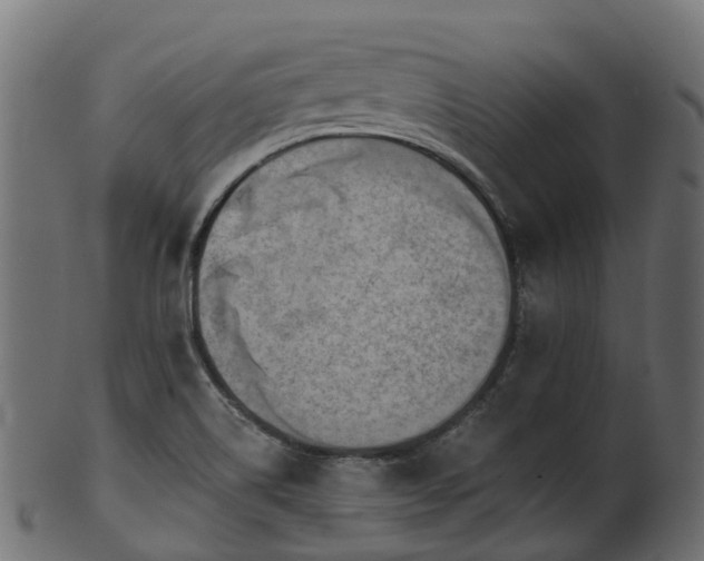 X0000101111514200807031727