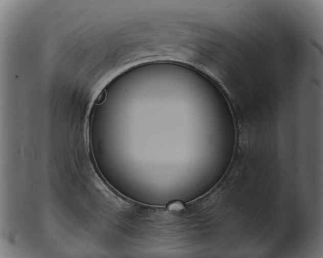 X0000101111516200807031727