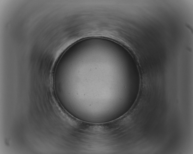 X0000101111517200807031727