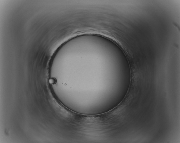 X0000101111518200807031727
