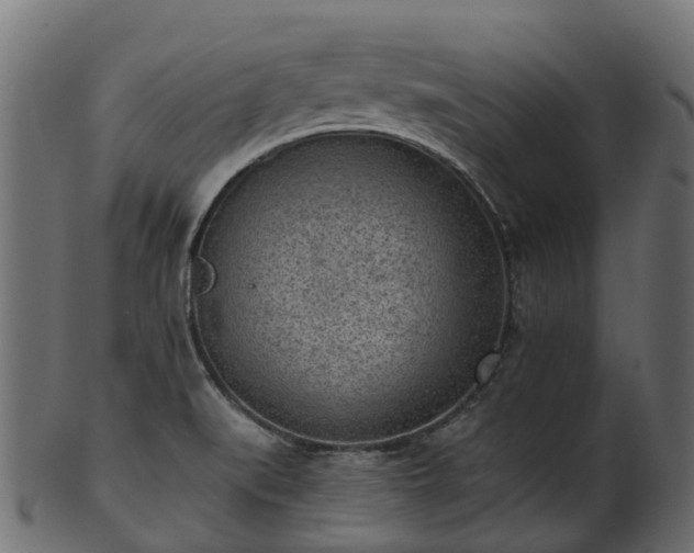 X0000101111519200807031727