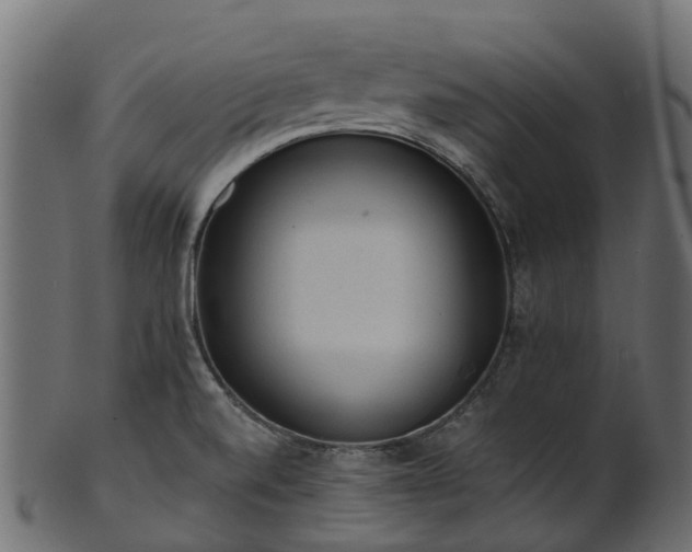 X0000101111520200807031727