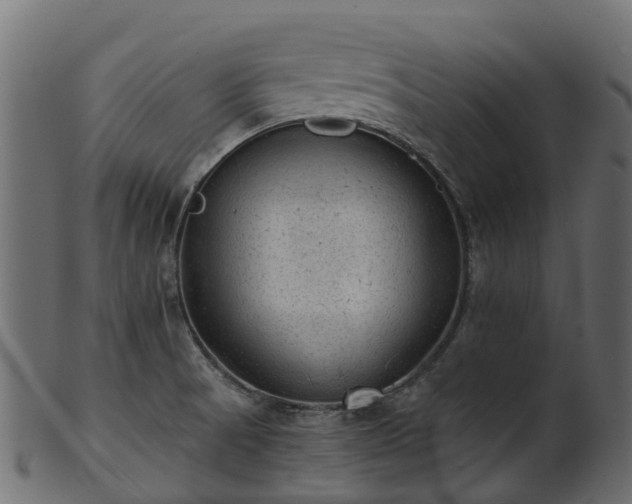 X0000101111521200807031727