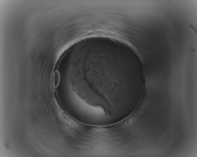 X0000101111522200807031727