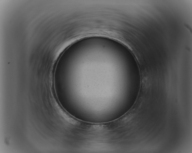 X0000101111523200807031727