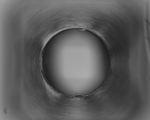 X0000101111524200807031727
