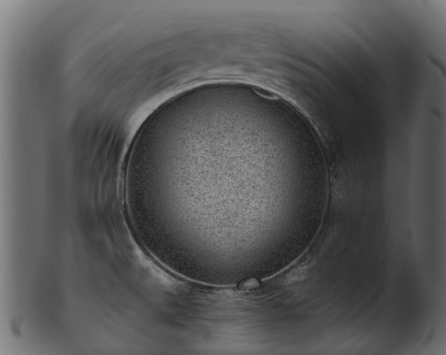 X0000101111527200807031728
