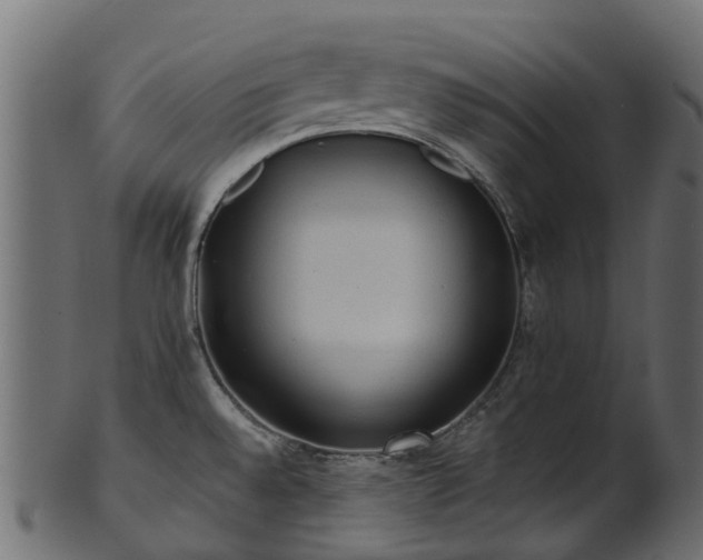 X0000101111528200807031728