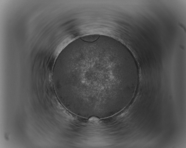X0000101111529200807031728