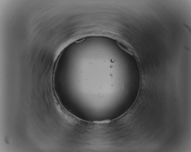 X0000101111530200807031728