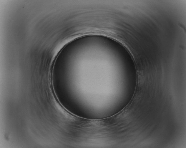 X0000101111531200807031728