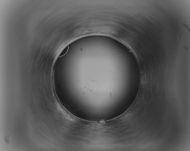 X0000101111532200807031728