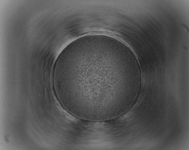 X0000101111533200807031728