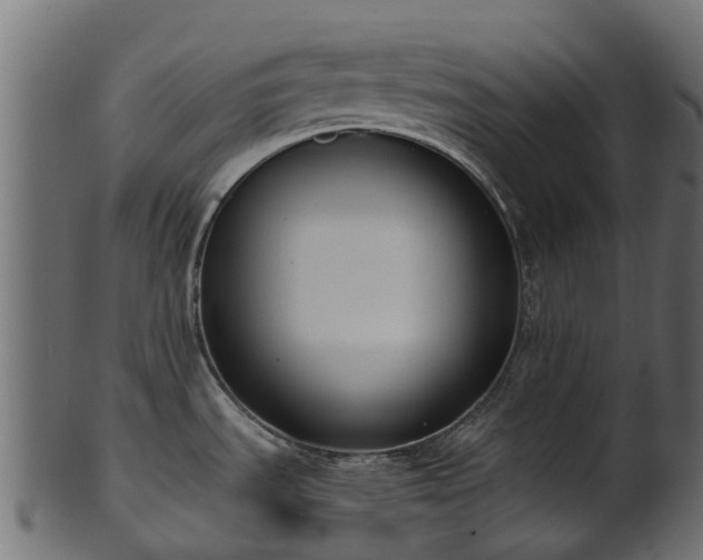 X0000101111535200807031728