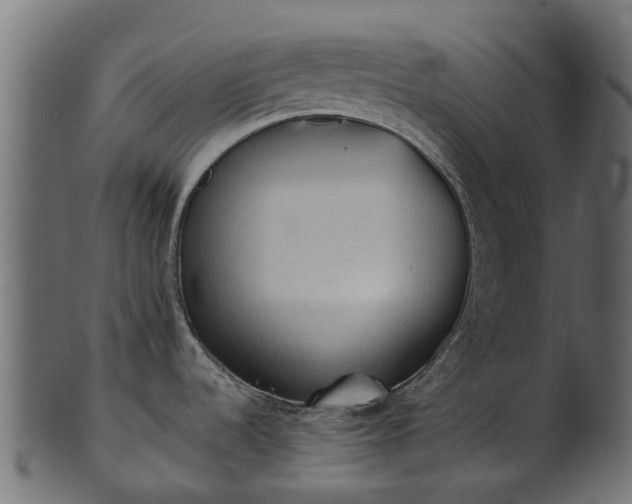X0000101111536200807031728