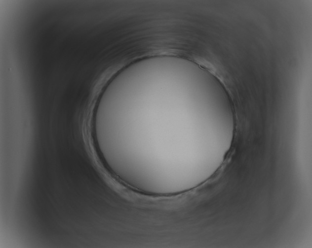X0000101110001200807101519