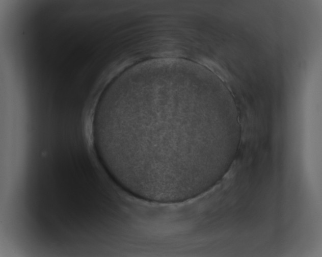 X0000101110002200807101519