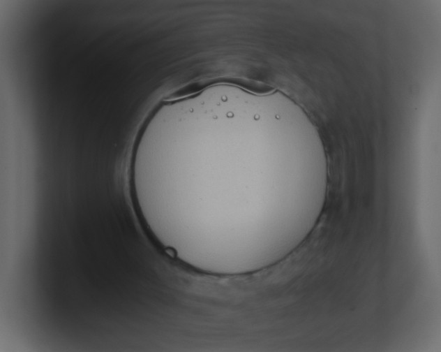 X0000101110003200807101519