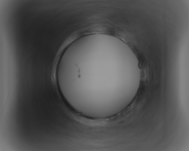 X0000101110004200807101519