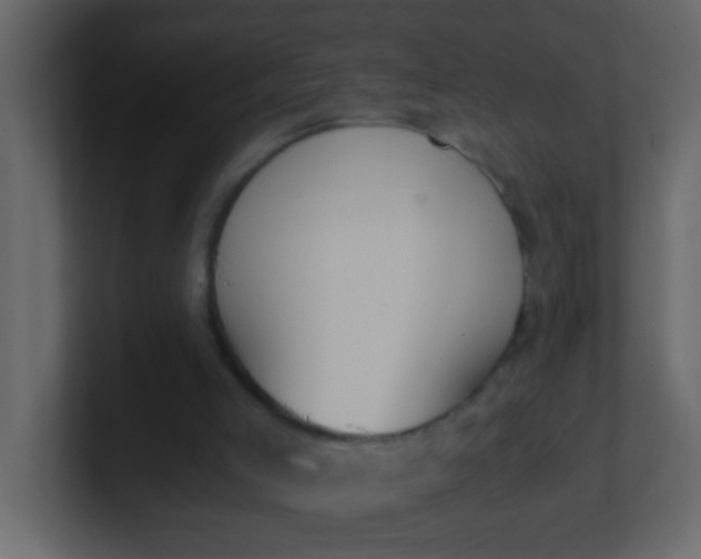 X0000101110005200807101519