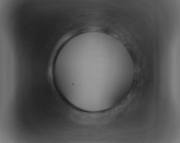 X0000101110006200807101519