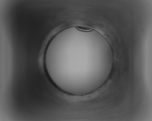 X0000101110007200807101519
