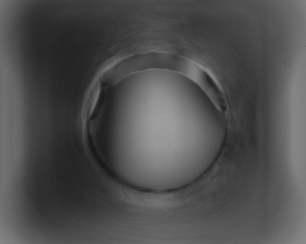 X0000101110008200807101519