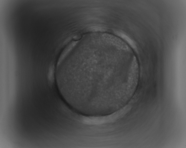 X0000101110009200807101519