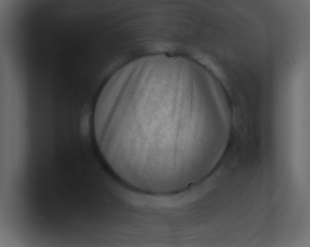 X0000101110010200807101519