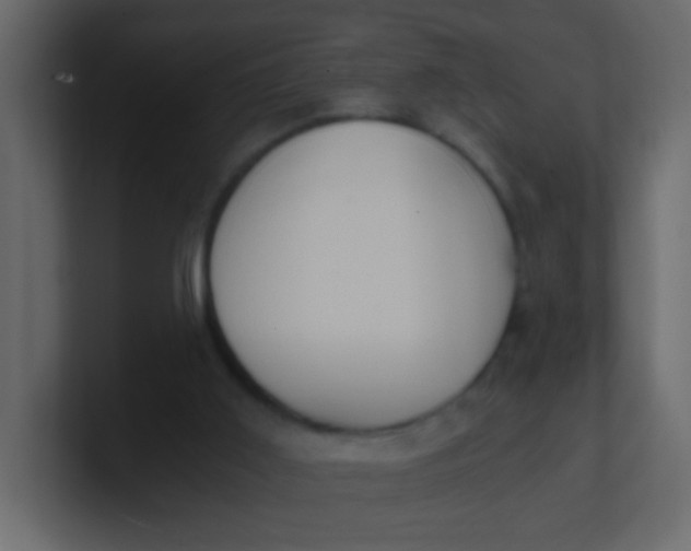 X0000101110011200807101519