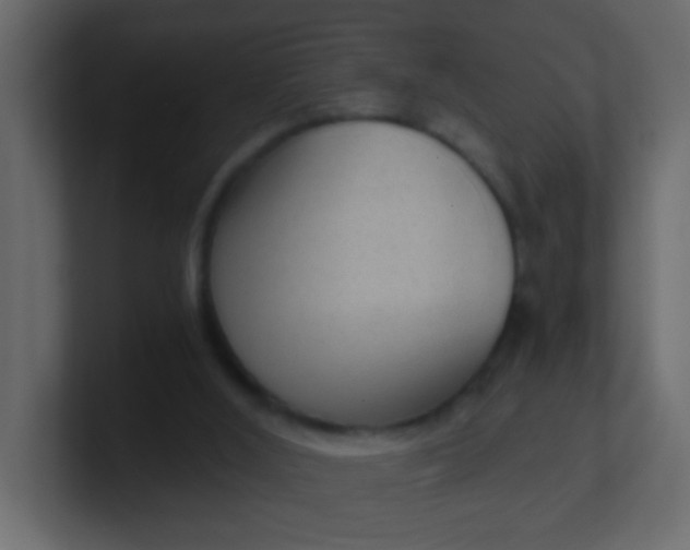 X0000101110012200807101519