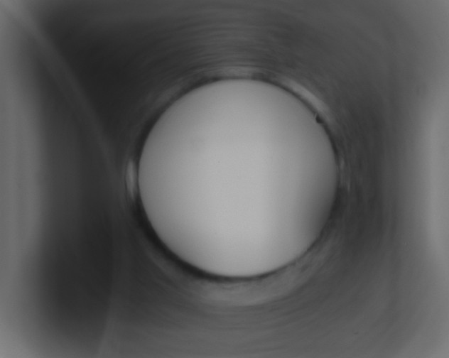 X0000101110013200807101519