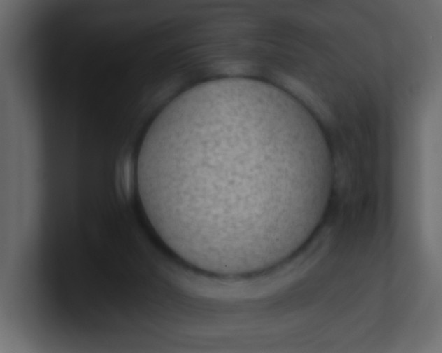 X0000101110014200807101519