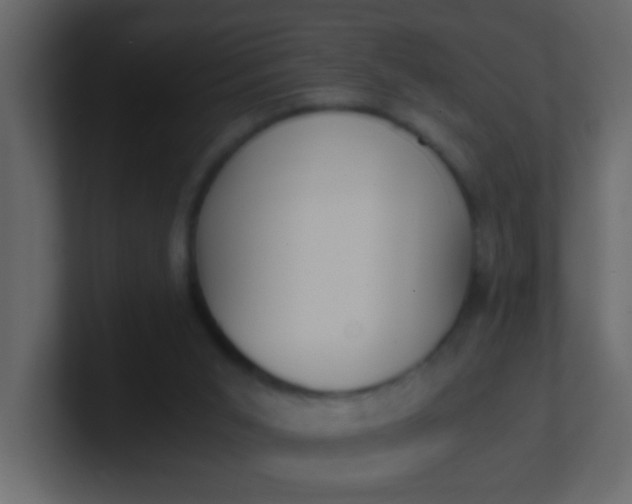 X0000101110015200807101519