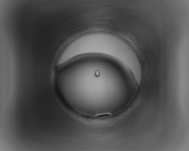 X0000101110016200807101519