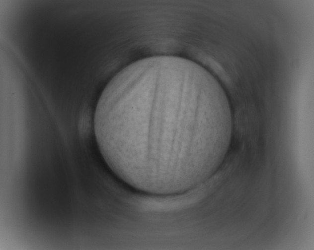 X0000101110017200807101519