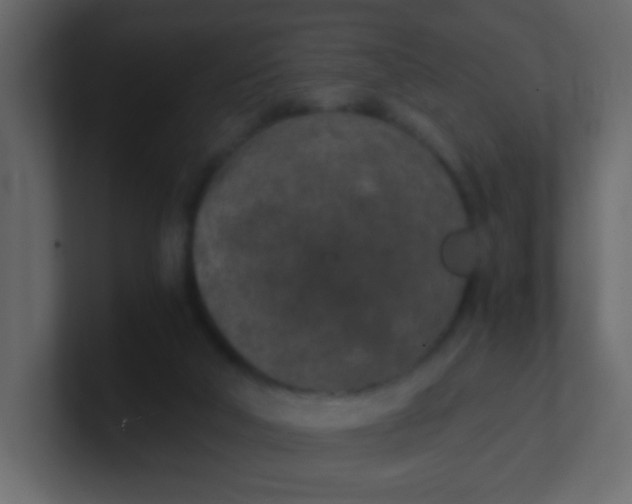 X0000101110018200807101519