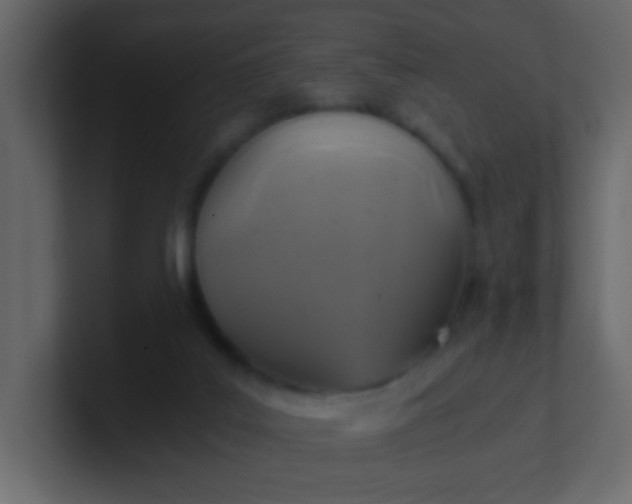 X0000101110019200807101519