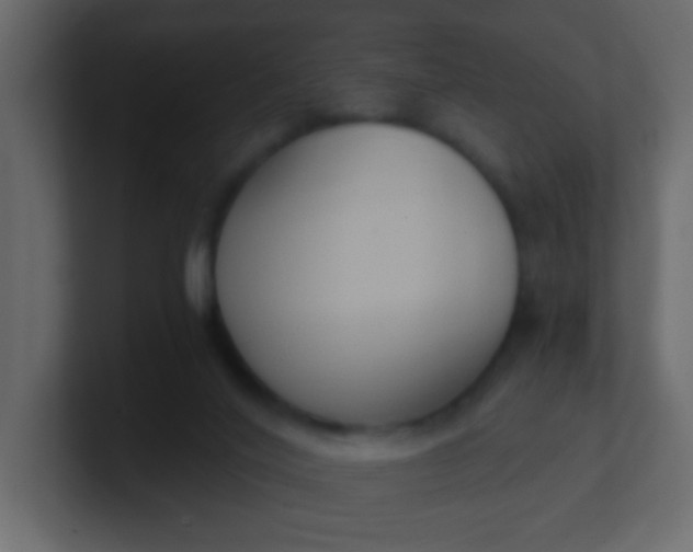 X0000101110020200807101519