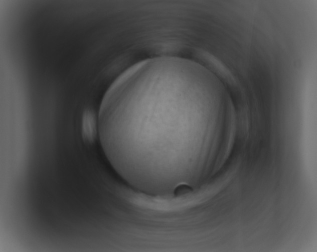 X0000101110022200807101519
