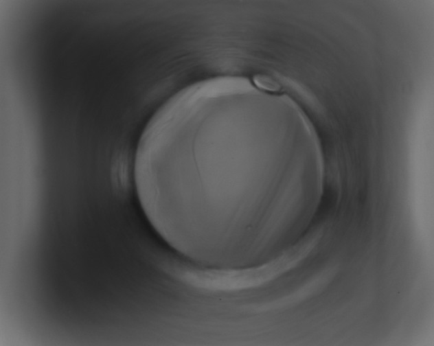 X0000101110023200807101519