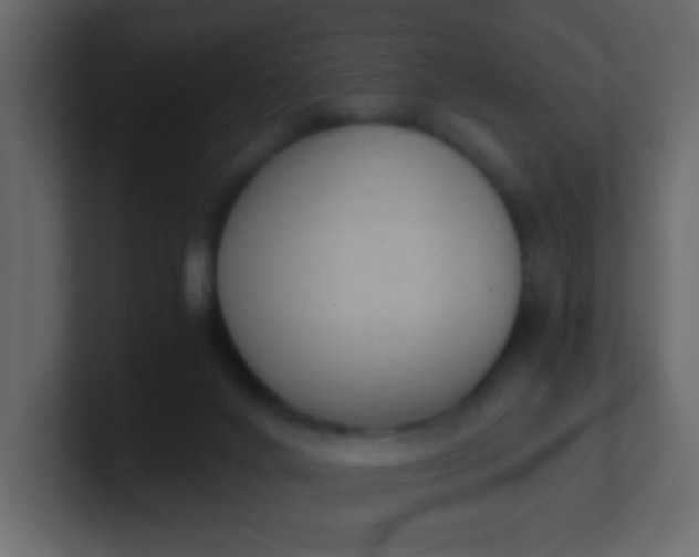 X0000101110024200807101519