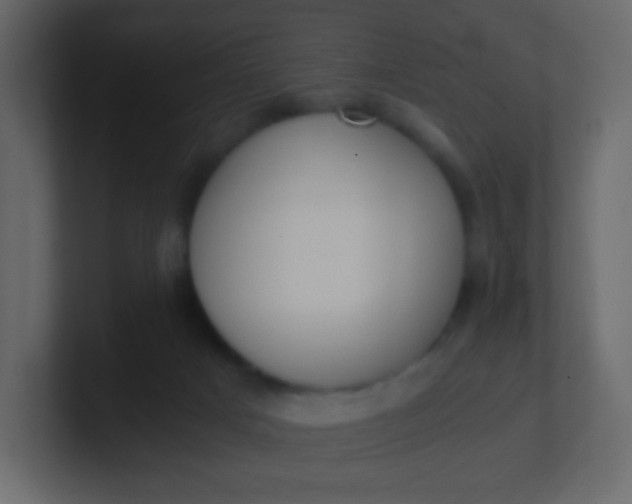 X0000101110025200807101519