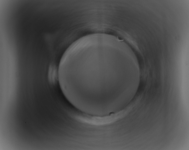 X0000101110027200807101519