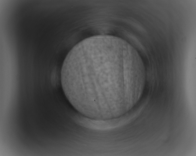 X0000101110030200807101519
