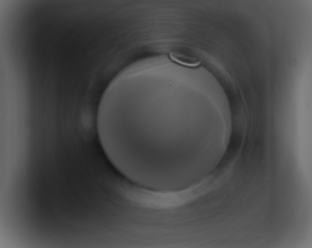 X0000101110031200807101519