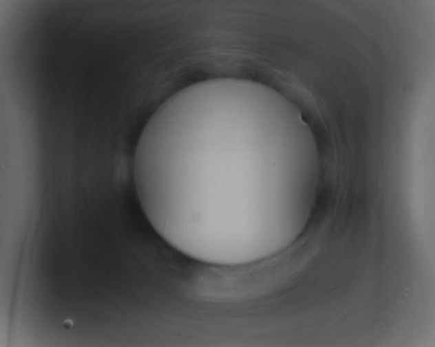 X0000101110033200807101519